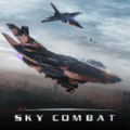 空战sky combat