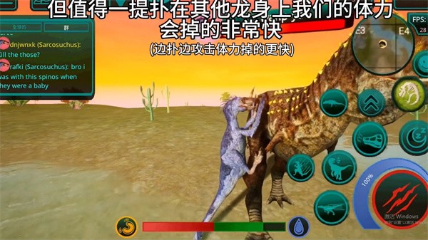 诅咒之岛