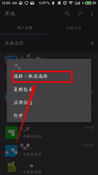 黑域