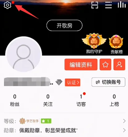 vv音乐