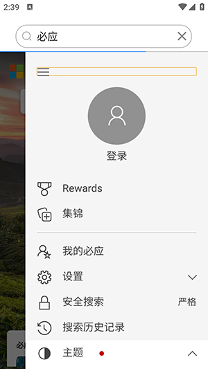 爱搜浏览器