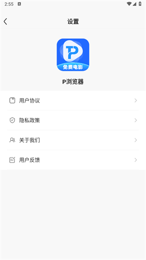 P浏览器161版