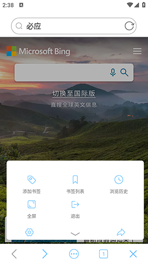 爱搜浏览器