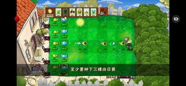 植物大战僵尸活死人之园TV触屏版