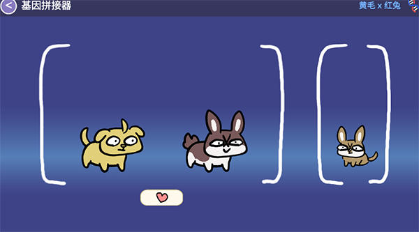Furry Wisher