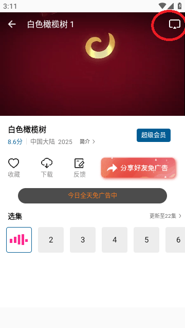 磁力熊电视版