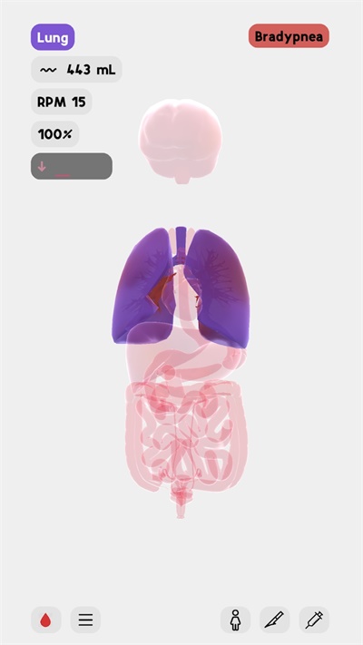 life生命模拟器汉化版
