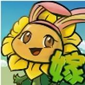 植物大战僵尸嫁接版1.1版本