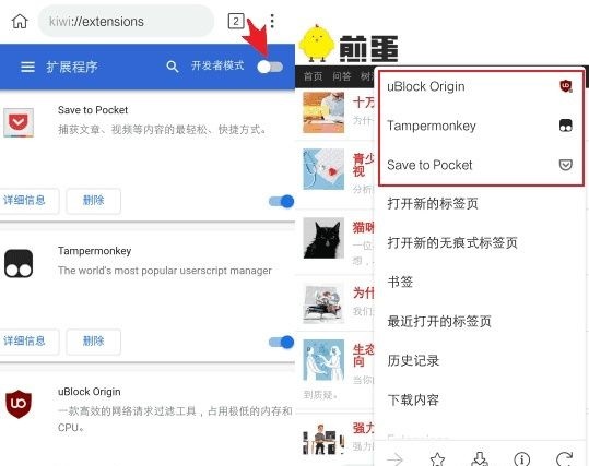 Kiwi浏览器