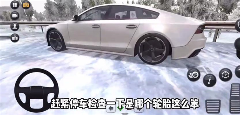 终极卡车模拟器离线免谷歌版