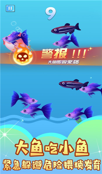 吃遍海洋无敌手