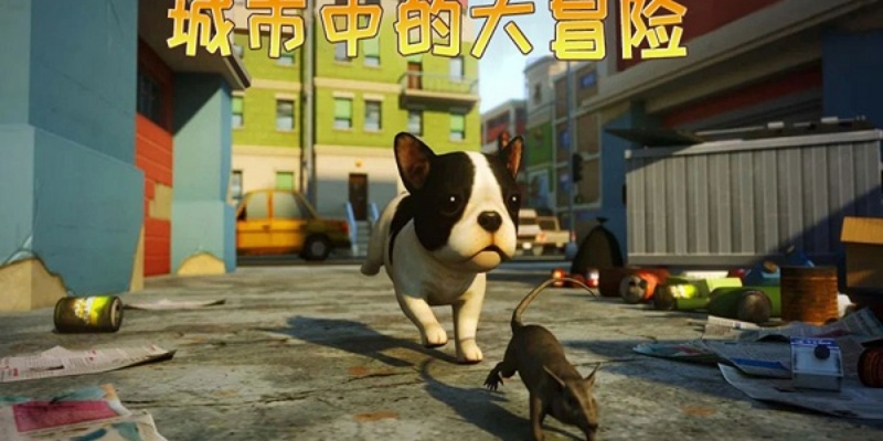 小猫历险记