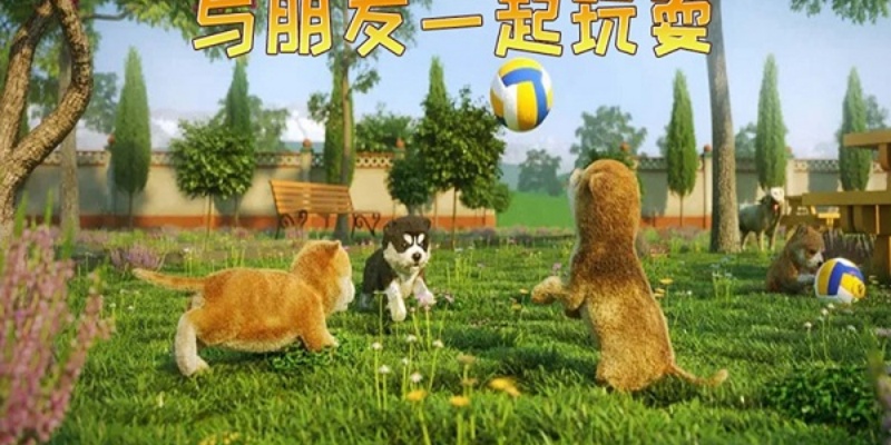 小猫历险记