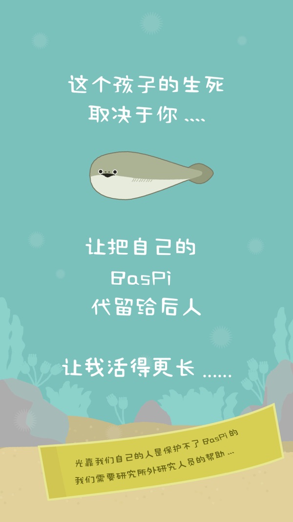 虚无鱼BasPi