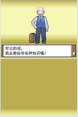 口袋妖怪白金汉化版 口袋妖怪白金汉化版