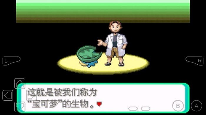 口袋妖怪绿宝石全随机