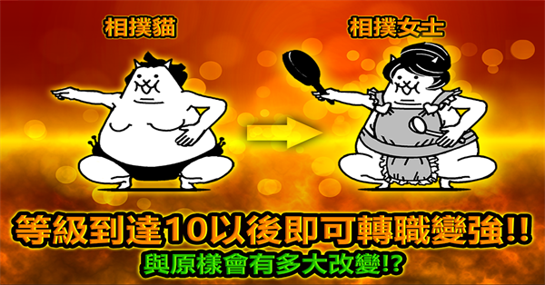 猫咪战争