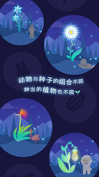 夜之森(ヨルノモリ) 夜之森(ヨルノモリ)