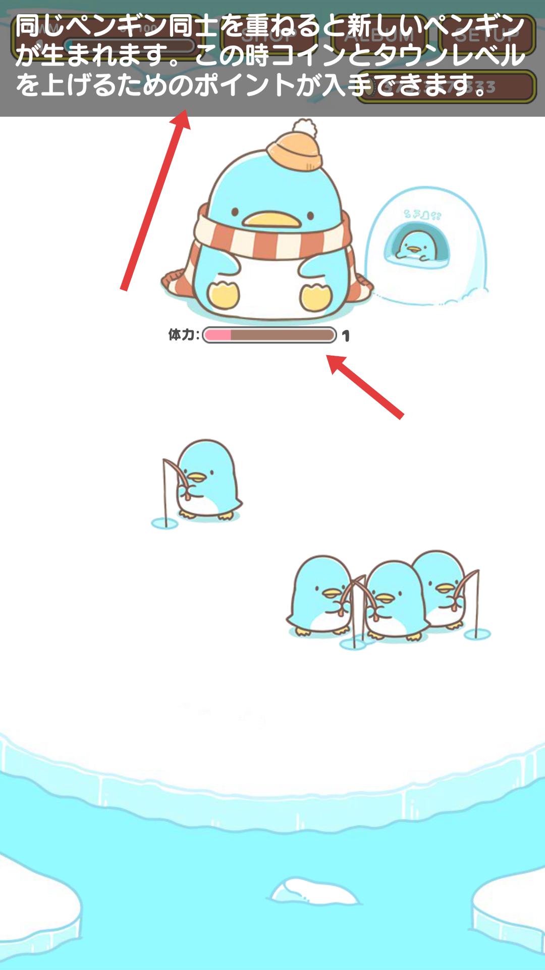 圆滚滚的企鹅好可爱