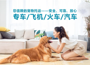 宠物托运app哪个好用-宠物托运app排行榜