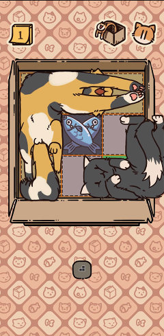 盒子猫