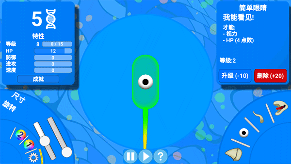 孢子进化