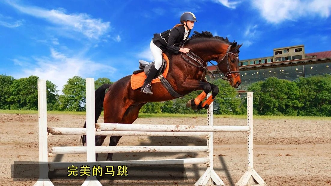 HorseRidingSimulator3D HorseRidingSimulator3D