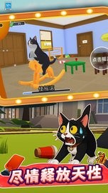 喵喵爱拆家