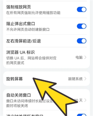 波波浏览器全球通无国界下载