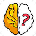 Brain Out